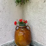 Simplicitas Отель Сан-Феделе-Интельви