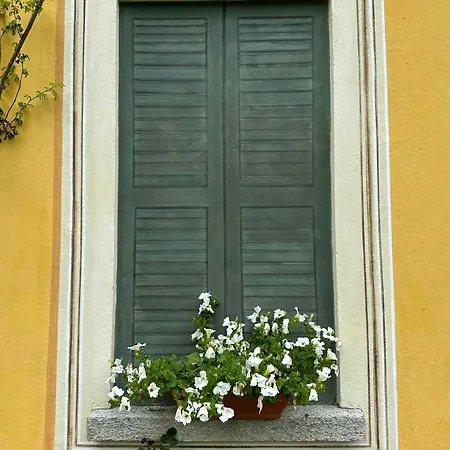 Simplicitas San Fedele Intelvi