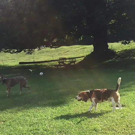 Hotel Simplicitas San Fedele Intelvi