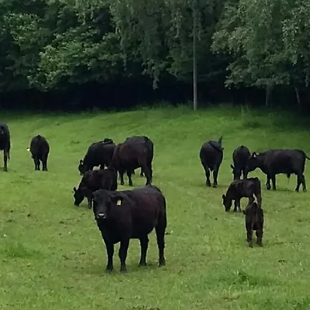 Simplicitas 2* San Fedele Intelvi