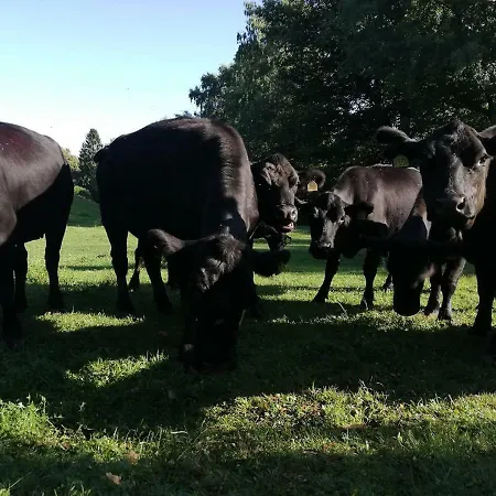 Hotel Simplicitas San Fedele Intelvi