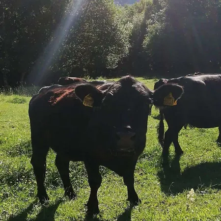 Simplicitas Hotel 2*