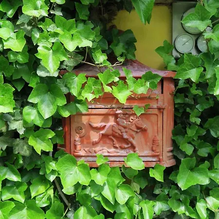 酒店 辛普利西塔别墅酒店 2*