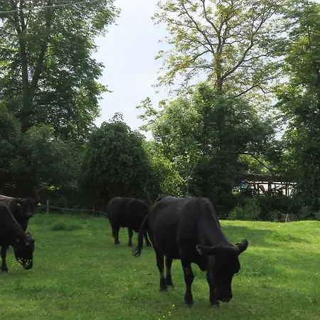辛普利西塔别墅酒店 酒店 2*