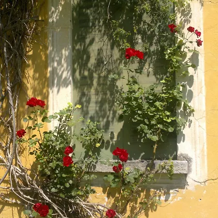 Simplicitas San Fedele Intelvi