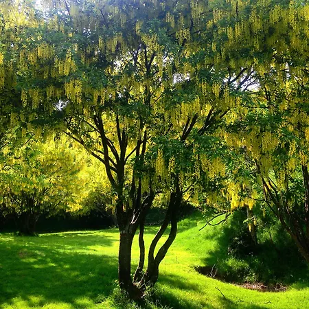 辛普利西塔别墅酒店 酒店 2*