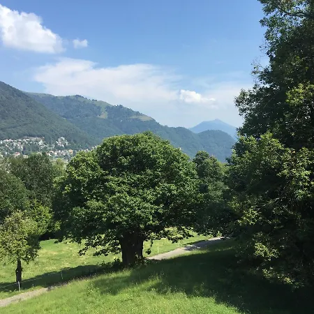 辛普利西塔别墅酒店 酒店