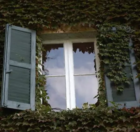 辛普利西塔别墅酒店 酒店 2*