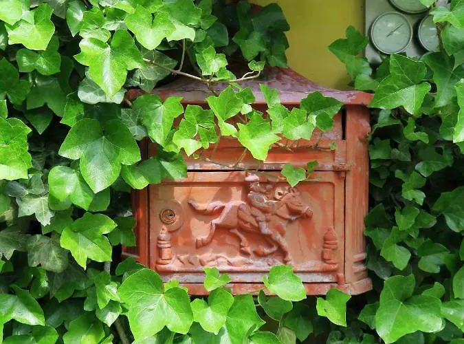 Hotel Simplicitas 2*