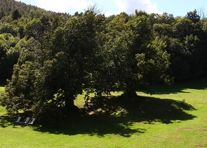 Hotel Simplicitas 2*