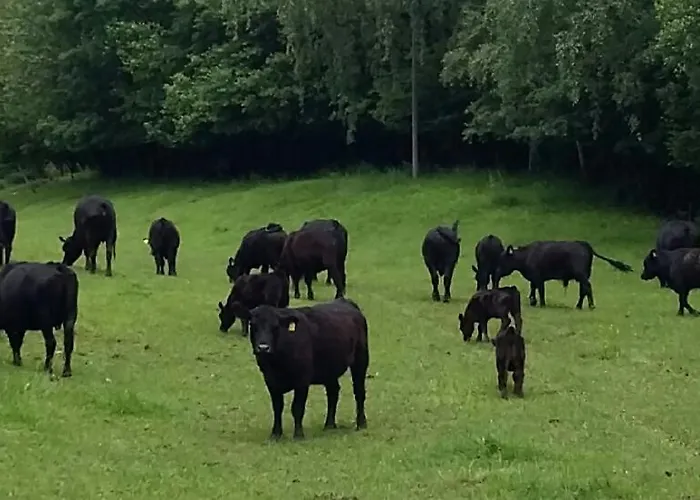 Simplicitas 2* San Fedele Intelvi