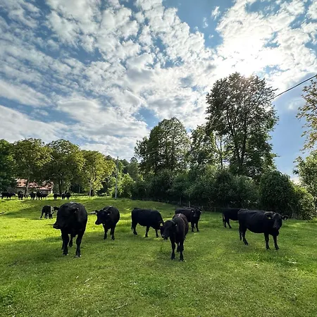 Отель Simplicitas