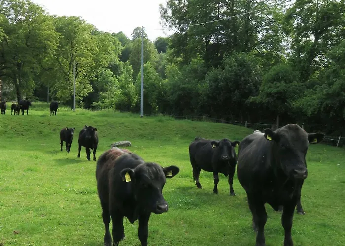 Simplicitas Отель 2*