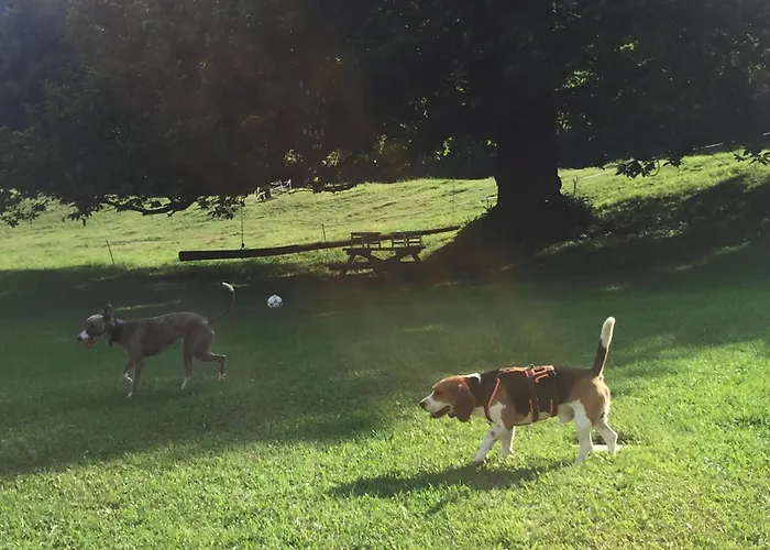 Отель Simplicitas Сан-Феделе-Интельви