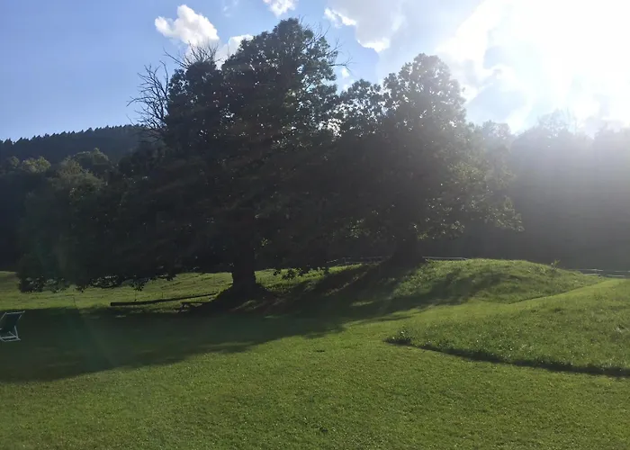 Отель Simplicitas