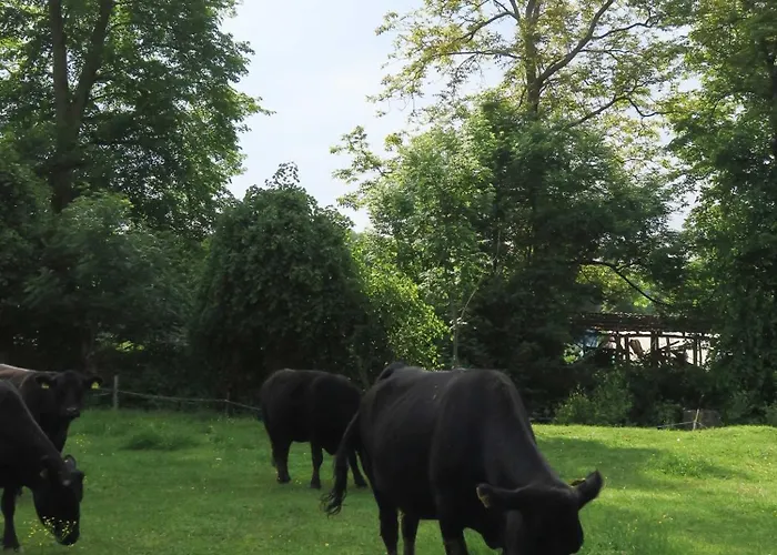 Simplicitas Отель 2*