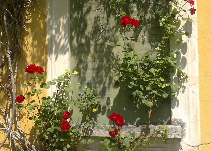 Simplicitas Сан-Феделе-Интельви