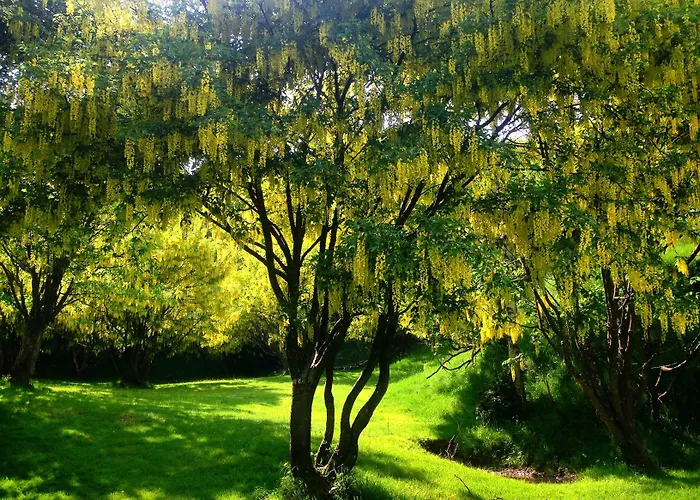 Simplicitas Отель 2*