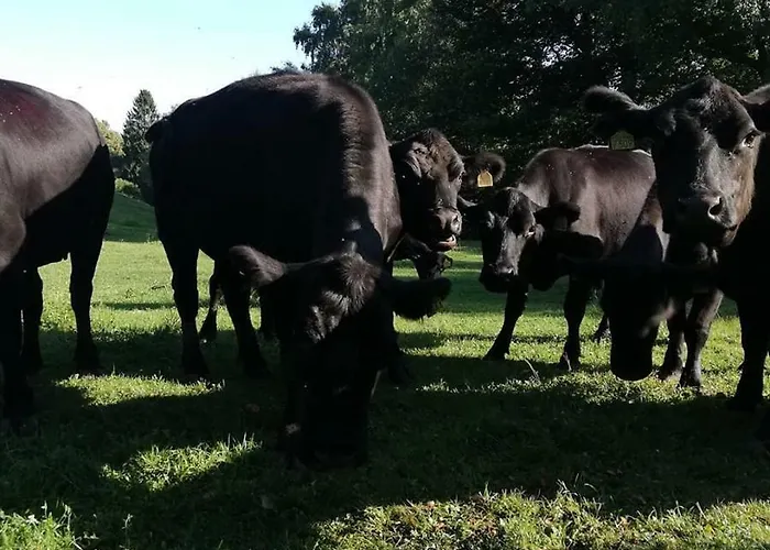 Отель Simplicitas Сан-Феделе-Интельви