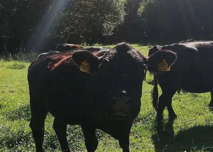 Simplicitas Отель 2*